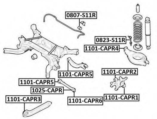 ASVA 1101-CAPR2