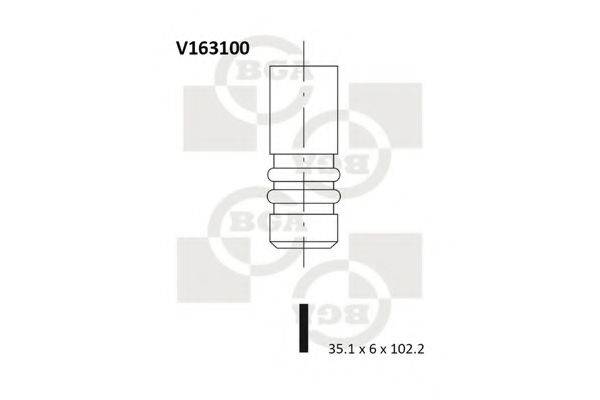BGA V163100