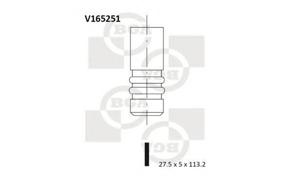 BGA V165251